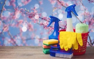 Summerlin Spring Cleaning